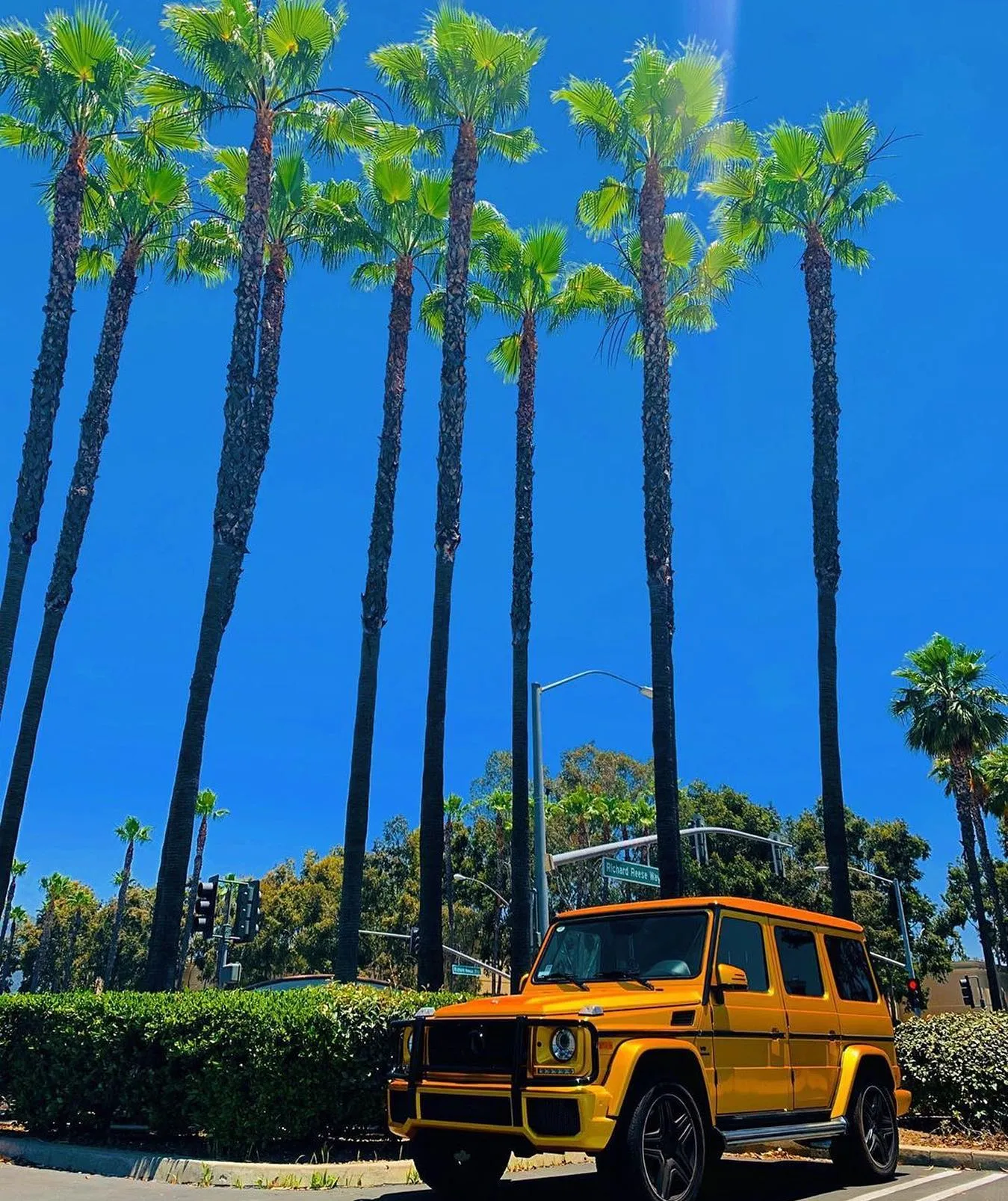 A yellow SUV parked under tall palm trees with a bright blue sky in the background.