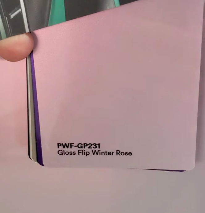 A hand holds a paint sample labeled "PWF-GP231 Gloss Flip Winter Rose" in black text.